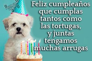 Felicitaciones originales cumpleaños imagenes
